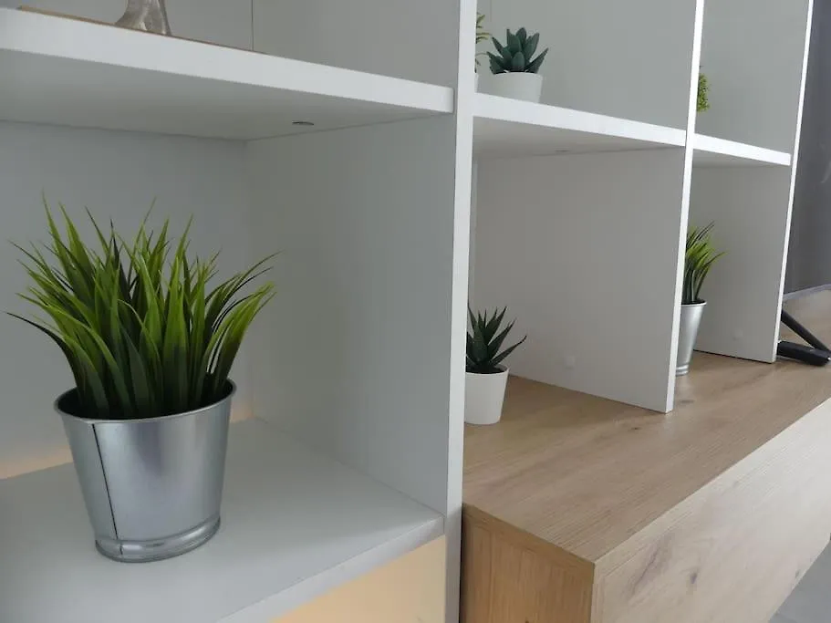 Apartamento 19 Piso Centrico, Nuevo Y Bien Equipado En La Trinidad La Laguna